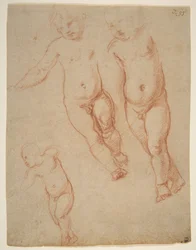 Estudos do Menino Jesus, 1513-15 (giz no papel)